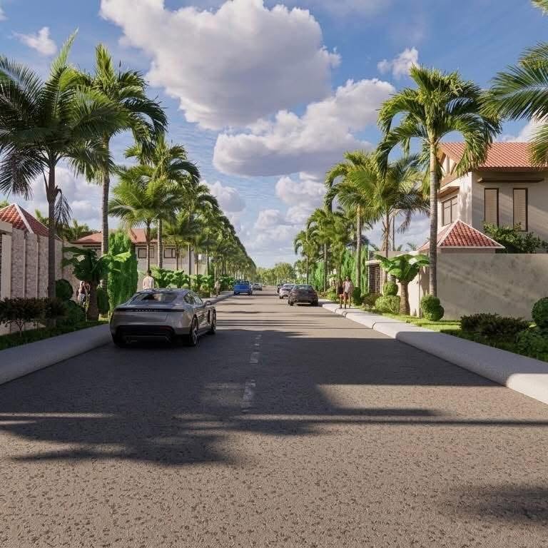 Wide 10-meter road lined with palms in the proposed community